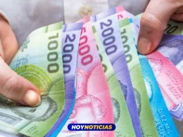 Bono Invierno 2023 IPS