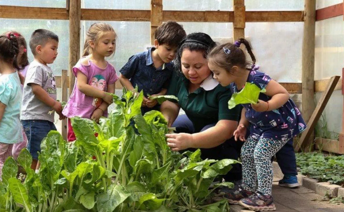 Junji e Integra abrieron sus postulaciones