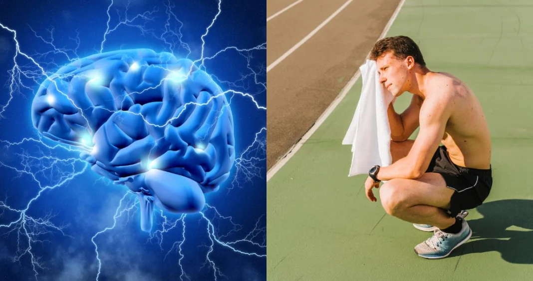 Un nuevo hallazgo sugiere que un 'interruptor' cerebral afecta nuestra motivación para hacer deporte.