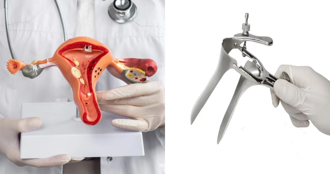 Descubre el innovador examen ginecológico que podría sustituir al Papanicolaou en casa. Descubre el innovador examen ginecológico que podría sustituir al Papanicolaou en casa.