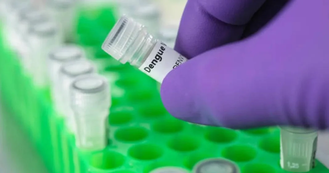 Dengue: claves para identificar infecciones pasadas y prepararse para la próxima temporada.