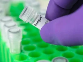 Dengue: claves para identificar infecciones pasadas y prepararse para la próxima temporada.