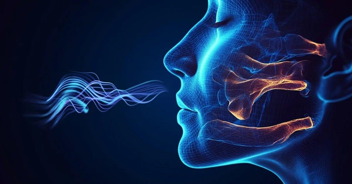 Descubren células inmunes en la nariz que podrían revolucionar las vacunas.