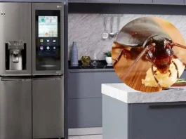 Descubre la receta casera efectiva para mantener a las cucarachas fuera de tu cocina.