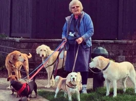 Heroica hasta el final: una paseadora de perros de 80 años defiende a sus cachorros.