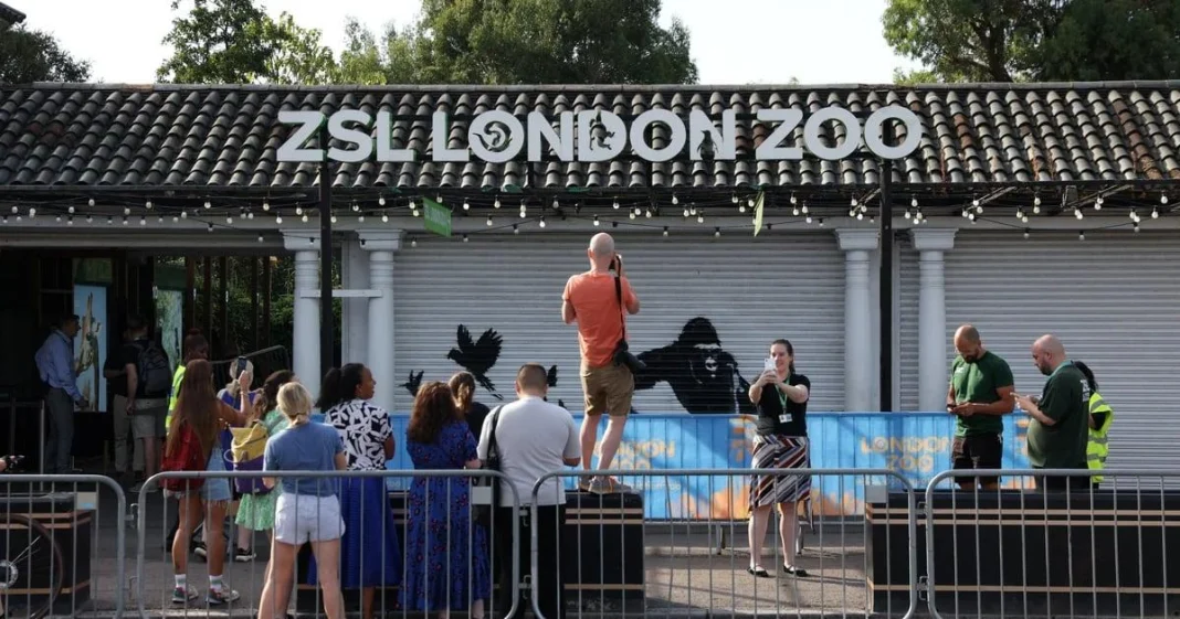 El Zoo de Londres despide la última obra de Banksy El Zoo de Londres despide la última obra de Banksy