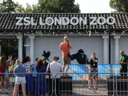 El Zoo de Londres despide la última obra de Banksy