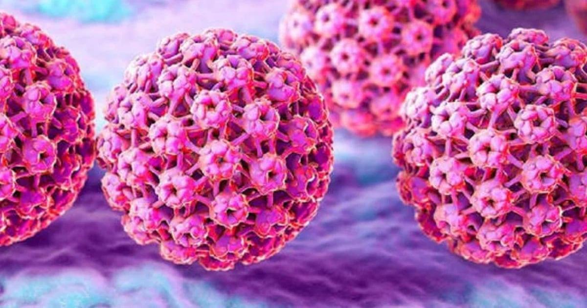 Descubre las 3 estrategias clave para erradicar el Virus del Papiloma Humano.