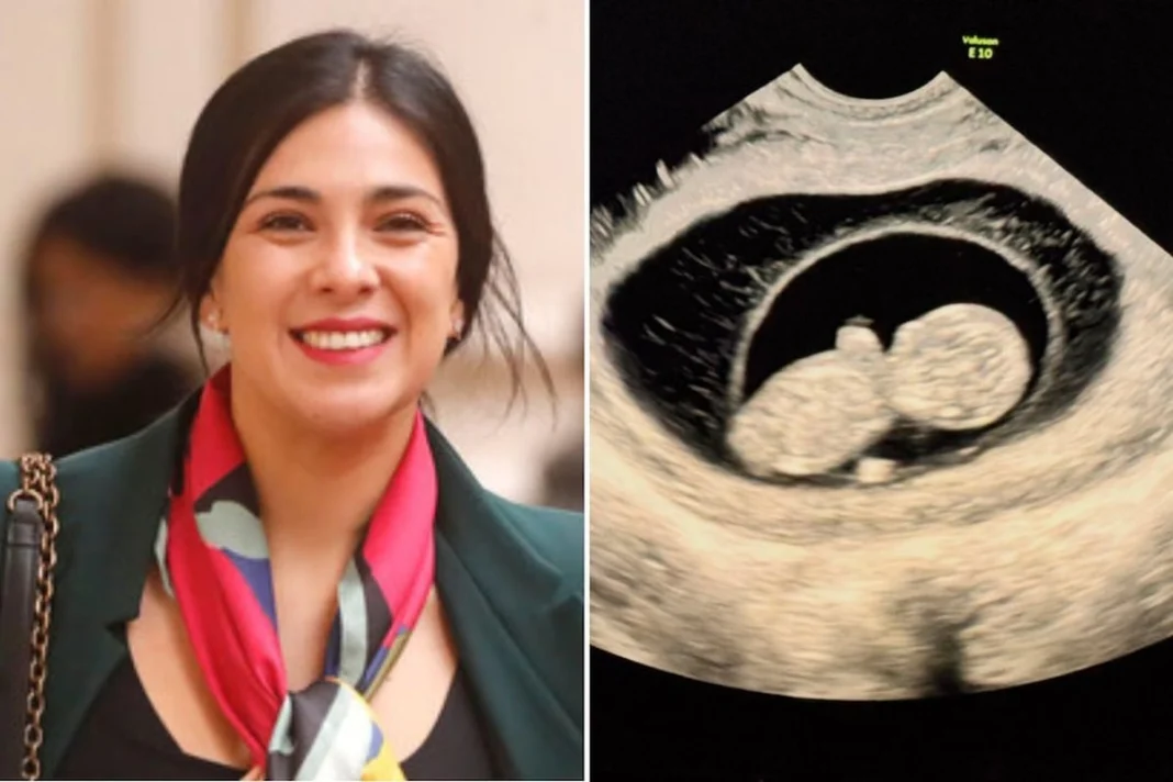 Karol Cariola anuncia su embarazo junto a su pareja