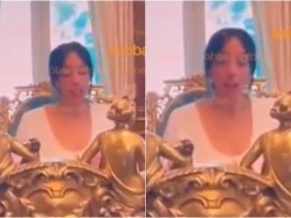 Tamara Pettinato y Alberto Fernández en la Casa Rosada: risas y sorpresas en un nuevo video.