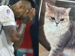 Arturo Vidal ofrece una millonaria recompensa por la desaparición de su querida mascota.