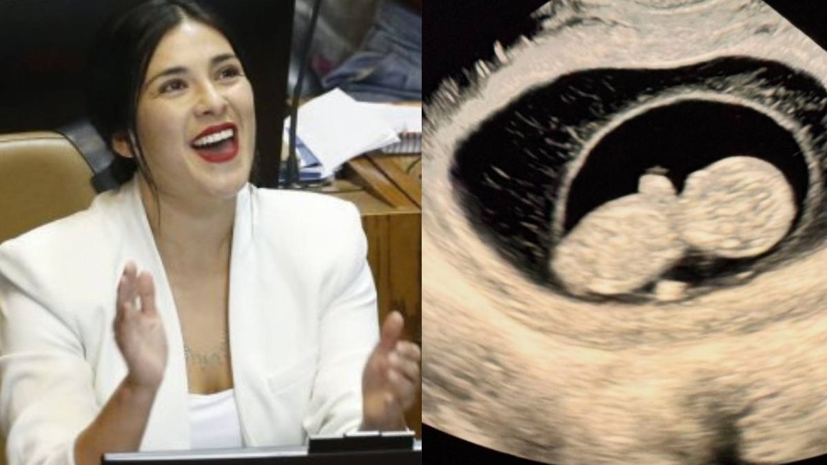 Karol Cariola comparte su emoción y temor al anunciar su embarazo de 3 meses.
