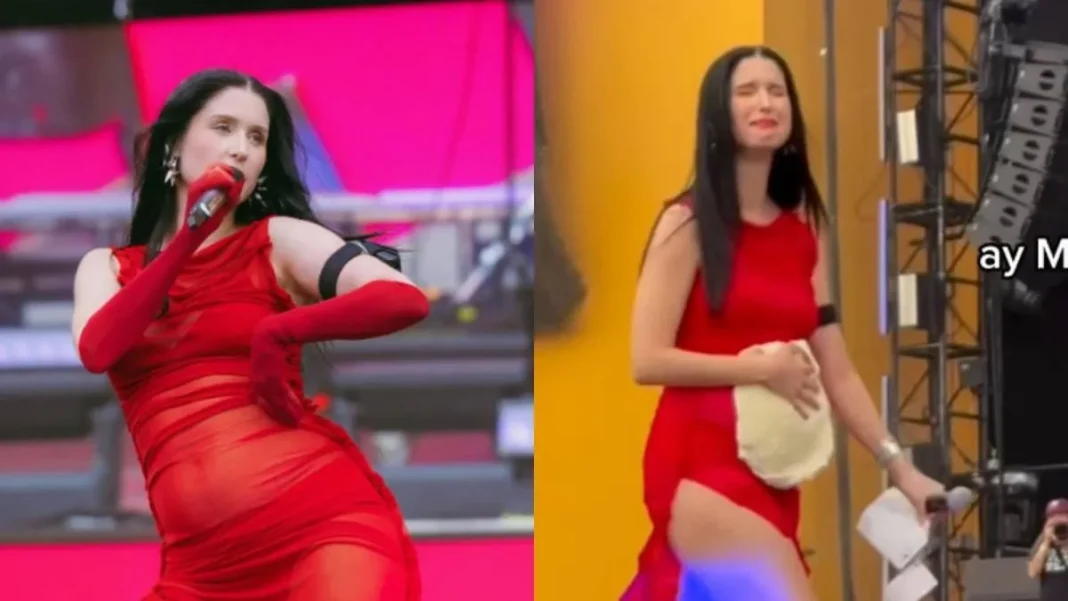 Francisca Valenzuela se emocionó hasta las lágrimas en su emotivo show en México.