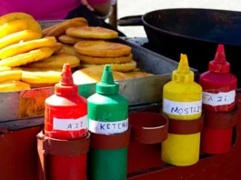 Carritos de Estación Central utilizan aceite no apto