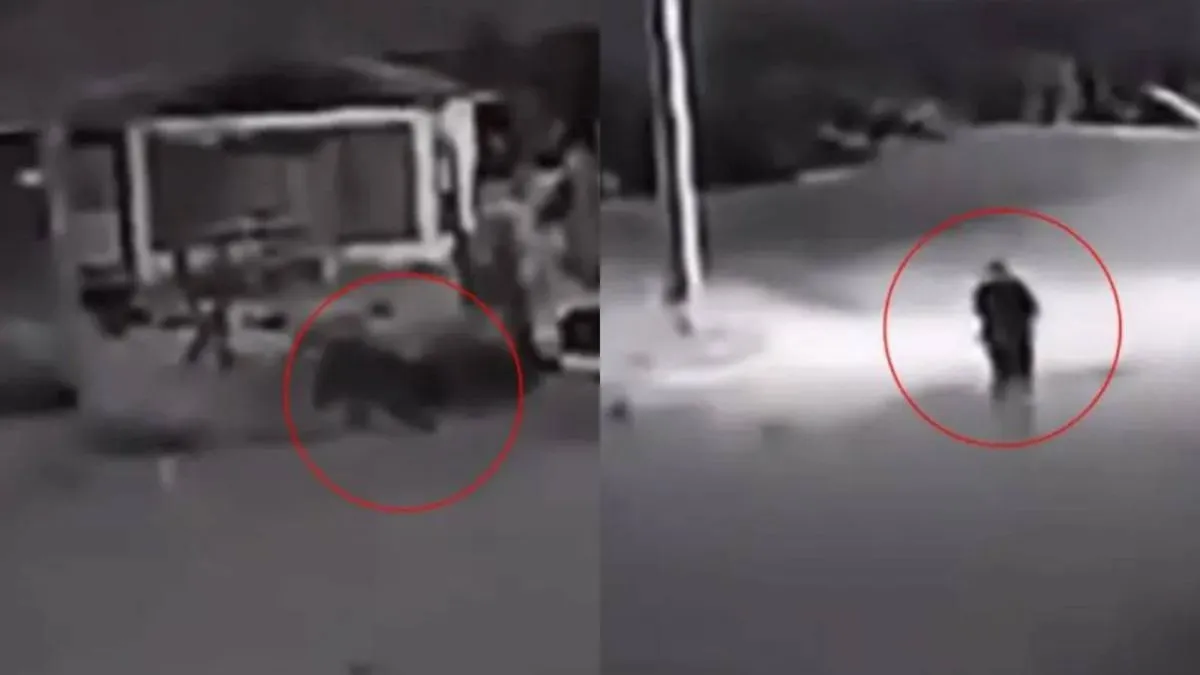 VIDEO | Impactante momento en Ovalle: un perro sorprendentemente 'se convierte' en humano.