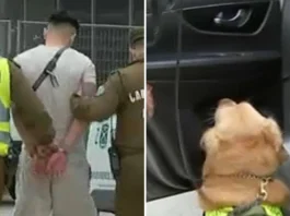 Conductor detenido en el aeropuerto tras evadir control y hallazgo de droga en su vehículo.