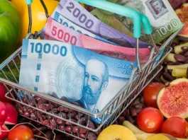 Bolsillo Familiar Electrónico: Verifica tu RUT para el último pago disponible.