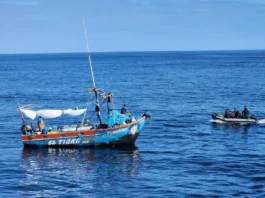 Armada intercepta barco peruano en Arica por pesca de especie protegida en Chile.