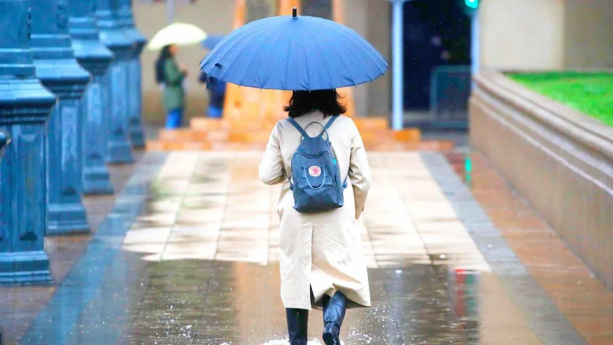 Jaime Leyton analiza la probabilidad de lluvia en Santiago este viernes.