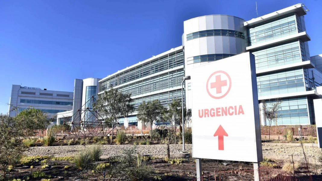 Un ataque inesperado: la violencia desata tragedia tras un simple toque de bocina.