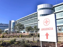 Un ataque inesperado: la violencia desata tragedia tras un simple toque de bocina.