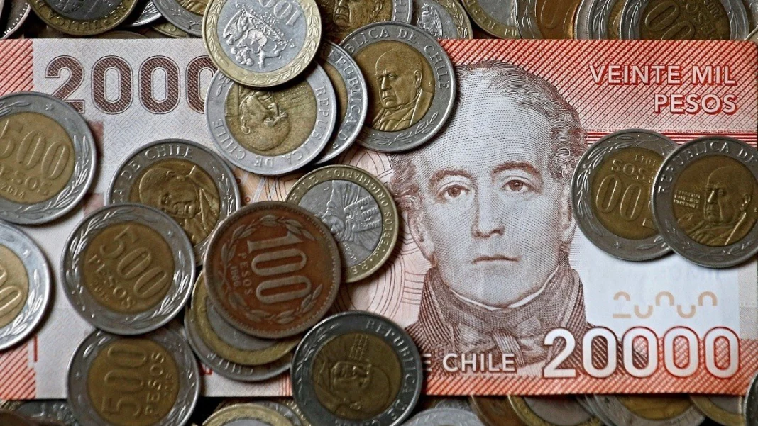 Descubre cuántas cotizaciones necesitas para acceder a tu Seguro de Cesantía.