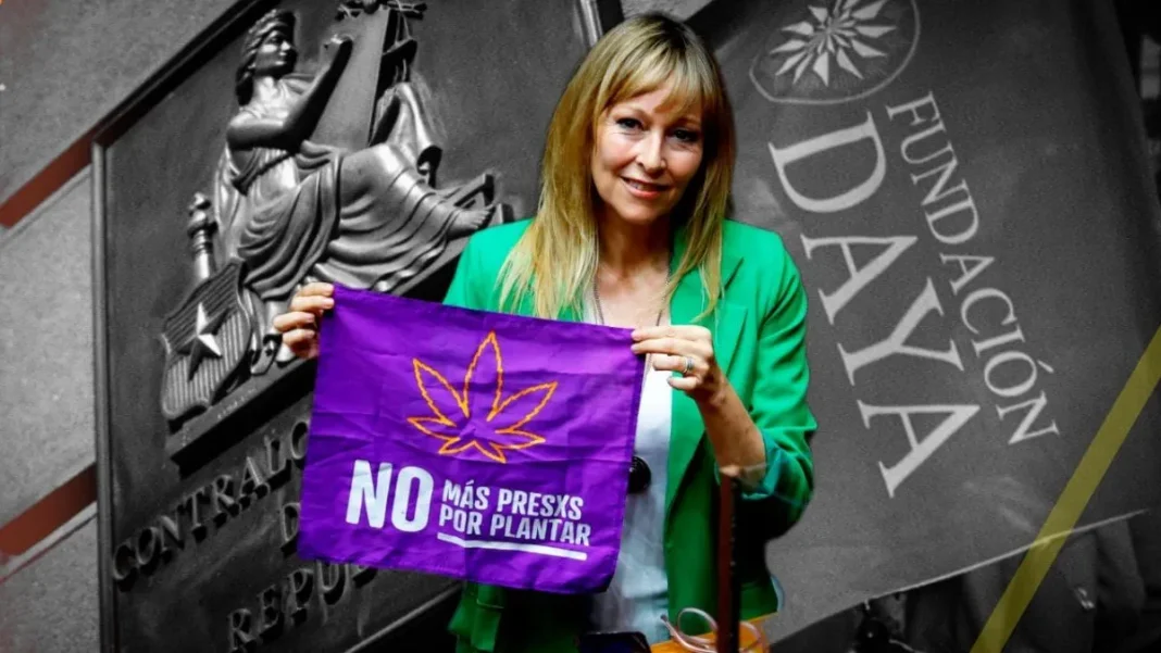 Contraloría envía a CDE a Fundación Daya y 13 municipios por irregularidades en cannabis.