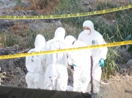 Fiscalía investiga posible conexión entre restos hallados en Maipú y caso de febrero.