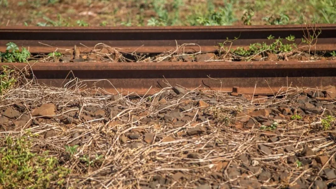 Tragedia en las vías: hombre pierde ambas piernas tras ser atropellado por un tren.