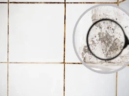 Descubre un truco casero efectivo para eliminar hongos en tu baño fácilmente.