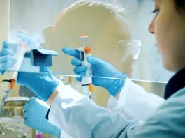 Impulsando el futuro: el papel clave de las ciencias básicas en la formación técnica.