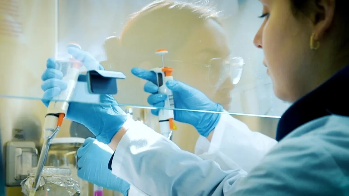 Impulsando el futuro: el papel clave de las ciencias básicas en la formación técnica.