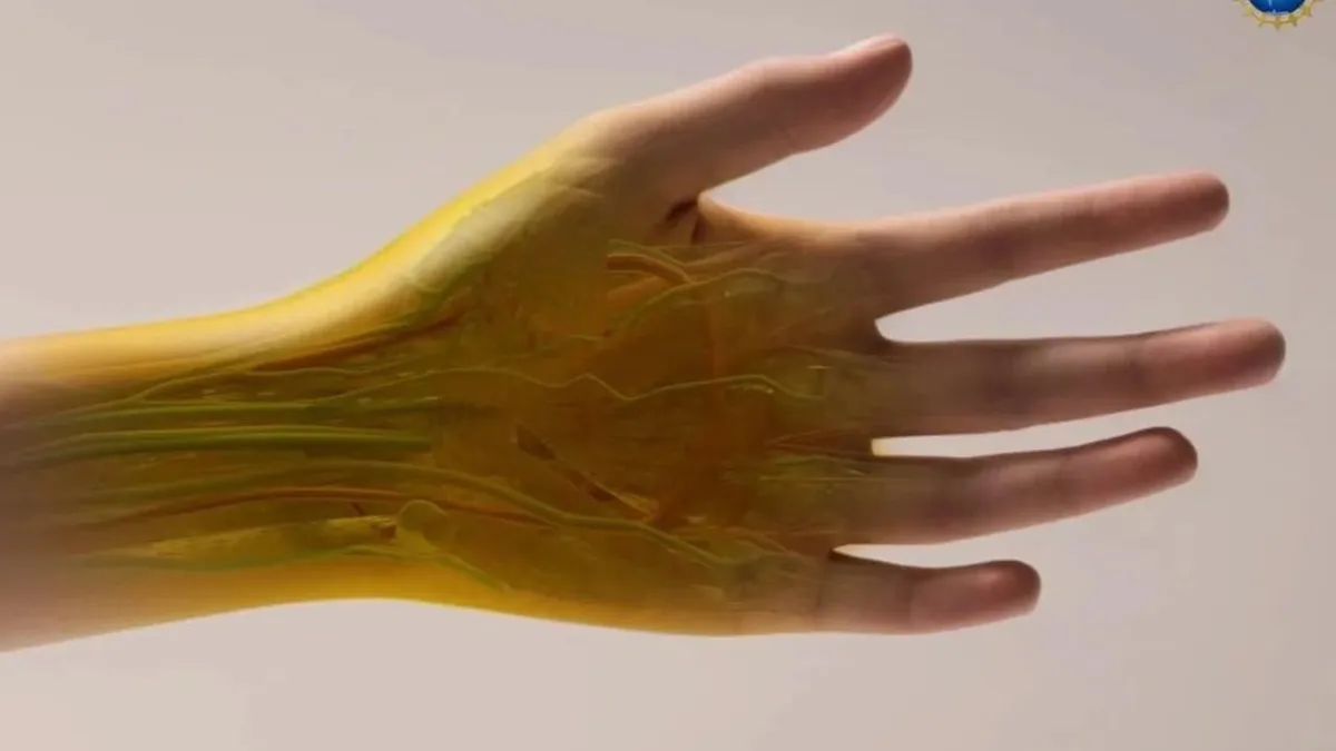 Científicos logran transparentar la piel de ratón usando colorantes alimentarios.