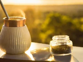 Descubre cómo la salvia puede potenciar tu memoria al disfrutar de un buen mate.