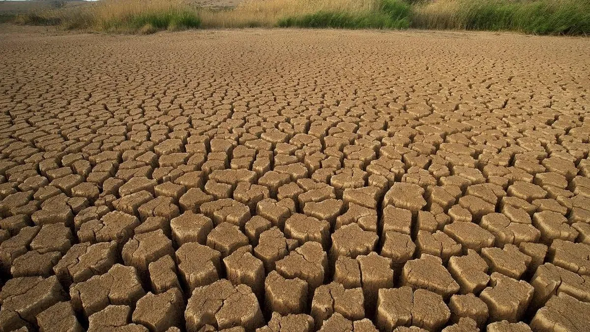 Expertos advierten sobre la grave sequía que azota a Sudamérica y sus consecuencias.