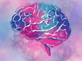 Nuevo estudio refuta la relación entre el autismo y alteraciones en la amígdala cerebral.