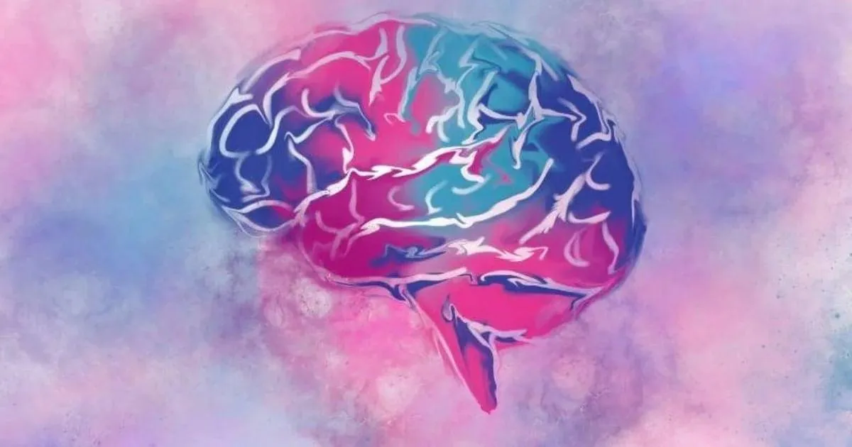 Nuevo estudio refuta la relación entre el autismo y alteraciones en la amígdala cerebral. Nuevo estudio refuta la relación entre el autismo y alteraciones en la amígdala cerebral.