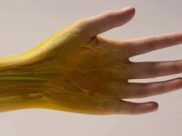 Logran transparentar la piel usando un colorante alimentario: un avance científico notable.