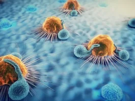 Nuevo avance en inmunoterapia: células T duplican su eficacia en la lucha contra el cáncer.