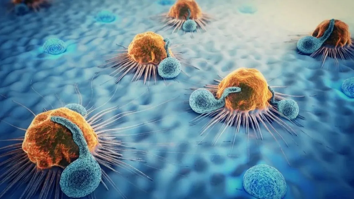 Nuevo avance en inmunoterapia: células T duplican su eficacia en la lucha contra el cáncer. Nuevo avance en inmunoterapia: células T duplican su eficacia en la lucha contra el cáncer.