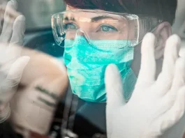 Explorando el enfoque One Health: salud animal