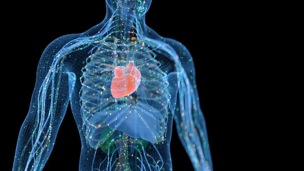 Mapa molecular del cuerpo humano: clave para entender y combatir enfermedades. Mapa molecular del cuerpo humano: clave para entender y combatir enfermedades.