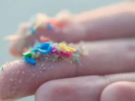 Descubrimiento histórico: microplásticos hallados en el tejido cerebral humano.