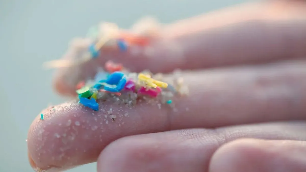 Descubrimiento histórico: microplásticos hallados en el tejido cerebral humano.