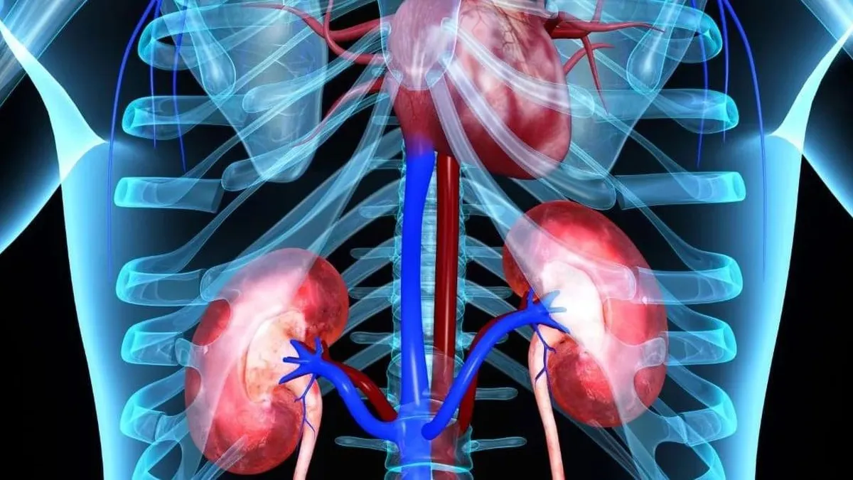 El tratamiento combinado mejora significativamente la supervivencia en cáncer de riñón avanzado.