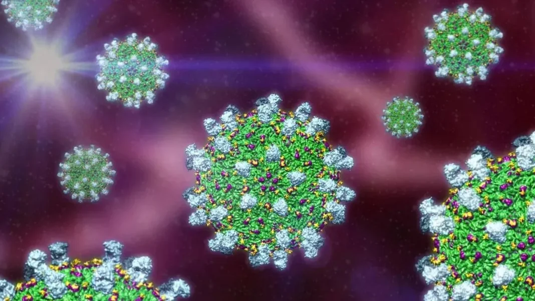 Descubre los riesgos de una segunda infección por dengue y su impacto en la salud.