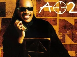 Stevie Wonder: la canción que lo despertó del coma y cambió su vida para siempre.