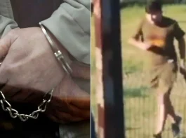 Hijo de exjugador de Colo Colo detenido tras disparar en partido amateur en Peñaflor.