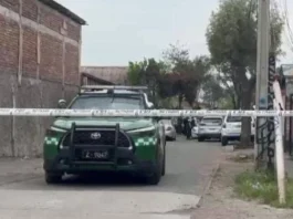 Tragedia en Pedro Aguirre Cerda: un parricidio que conmociona a la comunidad.