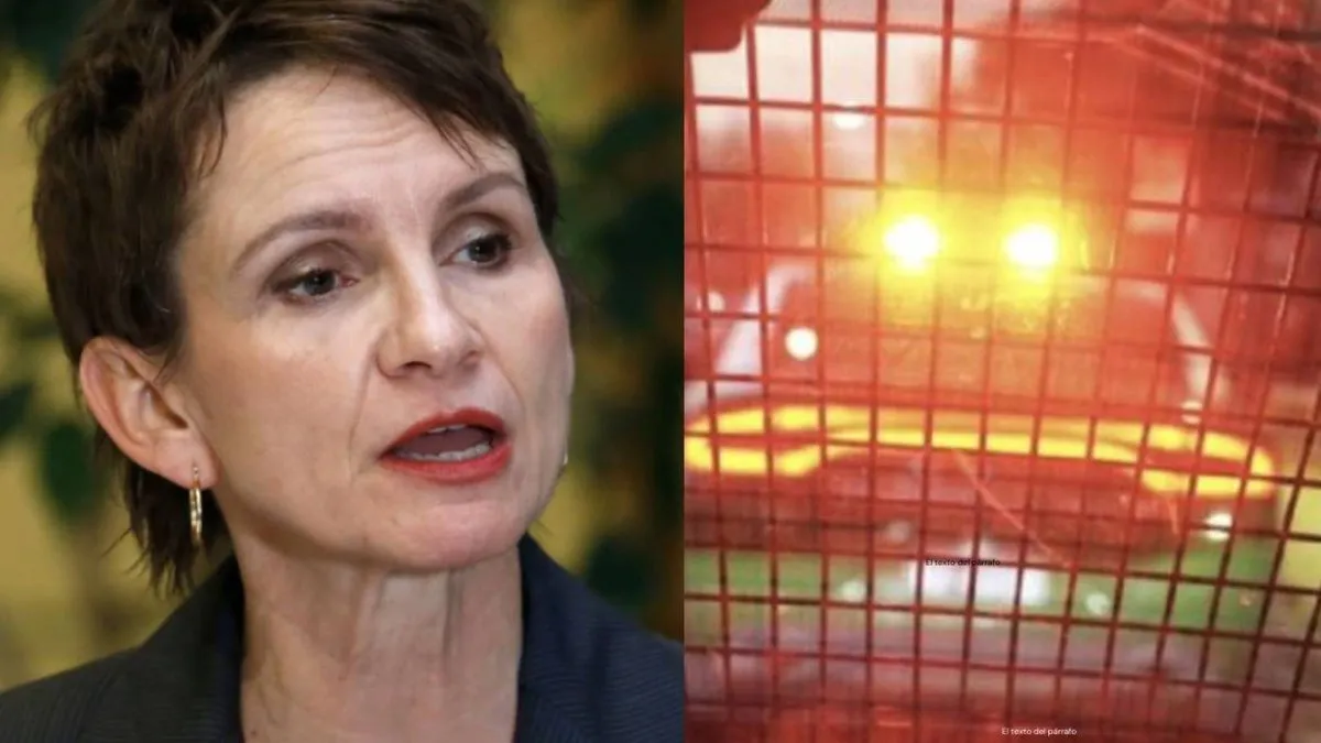 Manifestantes conmemoran el aniversario de Allende; Tohá aborda ataque en Huechuraba.